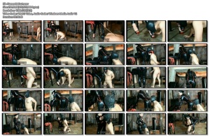 image host